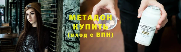 прущие грибы Абаза