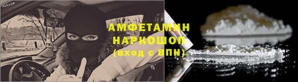 прущие грибы Абаза