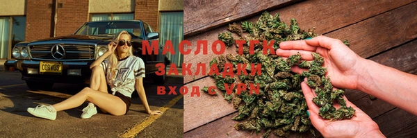 прущие грибы Абаза