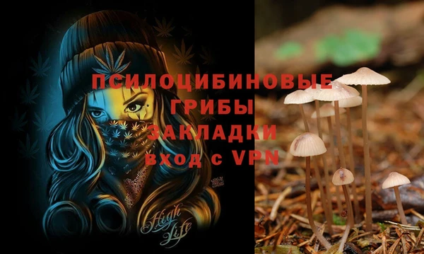 ПСИЛОЦИБИНОВЫЕ ГРИБЫ Алексин