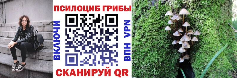 наркотики  Мамоново  Псилоцибиновые грибы ЛСД 